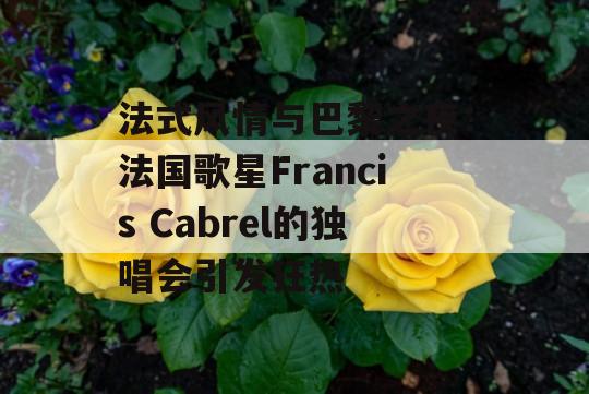 法式风情与巴黎之夜：法国歌星Francis Cabrel的独唱会引发狂热